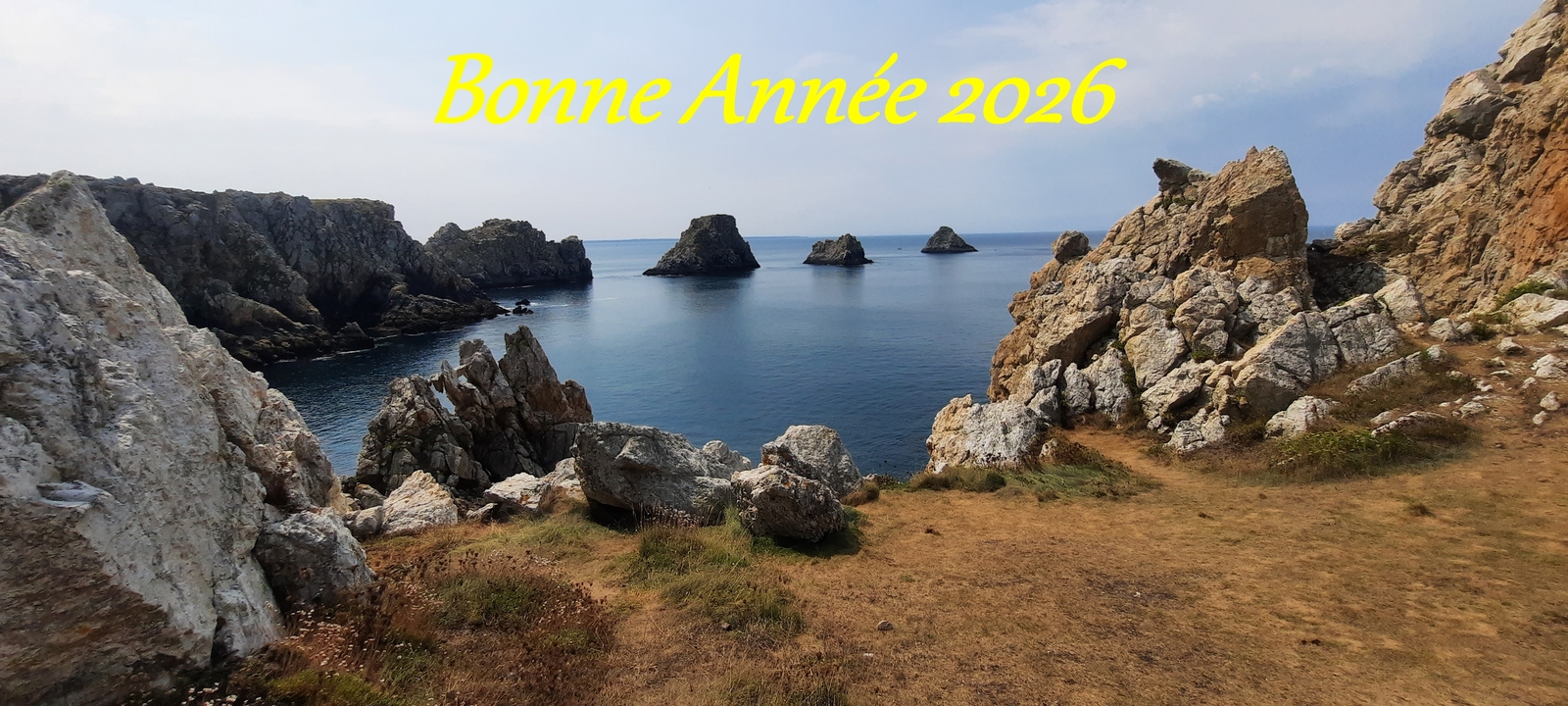 Bonne Année 2026