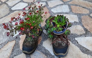 Autour de Jumeauville