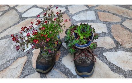 Prochaine sortie le 23 Novembre 2025