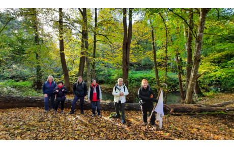 Randonnée autour d'Auffargis le 26 Octobre 2025